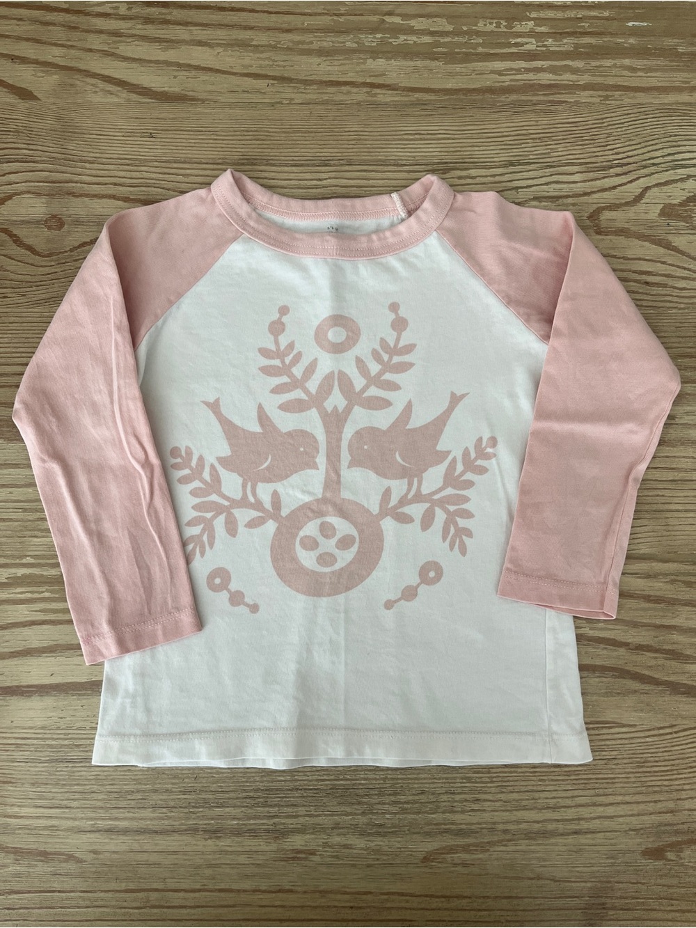 Winter Water Factory Kids Pink & White Raglan 3/4 Sleeve Tee with Bird Graphic